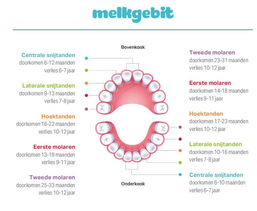 Melkgebit